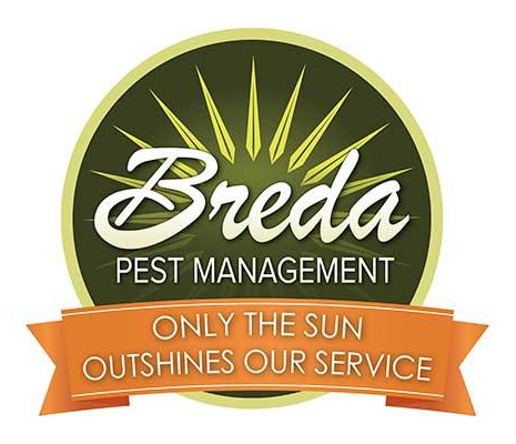 breda pest management buford basketball sponsor