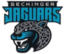 seckinger jaguars