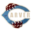 carver logo